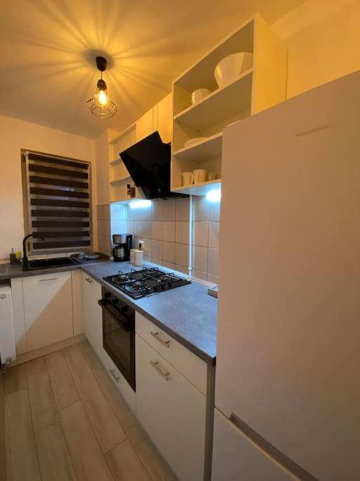 Black& White Apartment Брашов Екстериор снимка